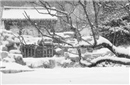 郑板桥《山中雪后》的诗作赏析
