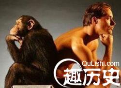 人类进化之谜：人类还会继续进化吗?