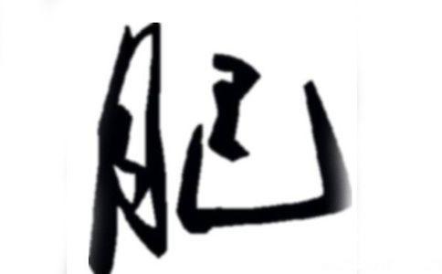 肥