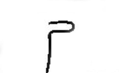 尸