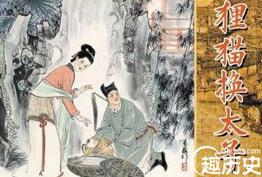 狸猫换太子