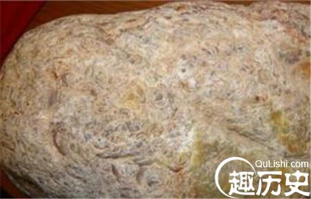 远古生物新陈代谢的产物