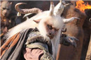 牛魔王的排名：牛魔王实力到底有多强?