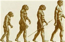 人类起源之谜：人类始祖又添新说法