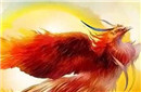 揭秘远古时代的人类为何崇拜太阳鸟?