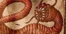 蒙古神秘“死亡之虫”真实存在吗？