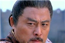 韦孝宽斛律光的对比 韦孝宽和陈庆之有何关系