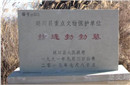 赫连勃勃为何能非常自信可以建立大夏国？