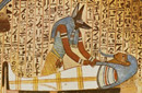 古埃及为何灭亡 棺木年轮揭开暗藏的真相