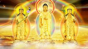 人性的善恶论：佛教中是否主张人性本善