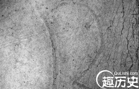 44485688_1_副本.jpg