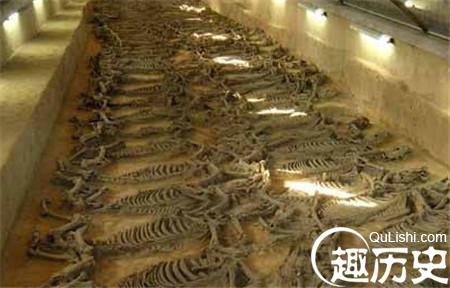 48-151021143024K9_副本.jpg