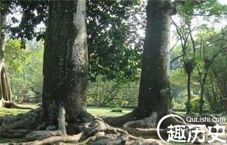 1_副本4.jpg