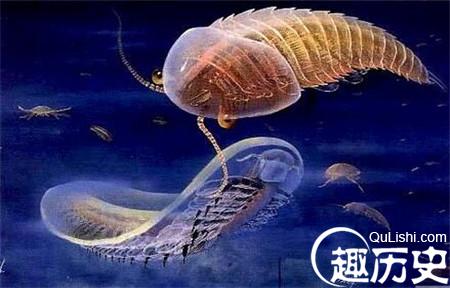 2_副本.jpg