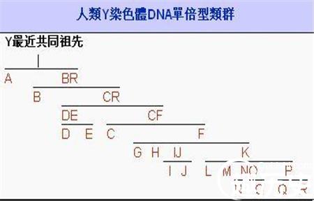 20140827022243857_副本.jpg
