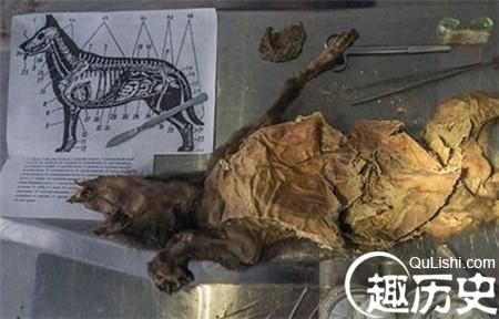 7af40ad162d9f2d3247fa090abec8a136327cc67_副本.jpg