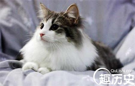 QQ截图20170124172526_副本.jpg