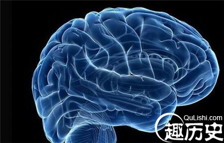 1_副本2.jpg