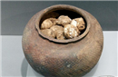 揭秘距今2800年的西周鸡蛋 出土于墓葬之中