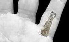 考古大发现：185万年前神秘巨人指骨