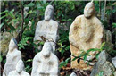 上万"阴兵"藏身密林 神秘阴森至今无解