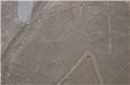 神奇的秘鲁纳斯卡巨画 出现在2000年以前