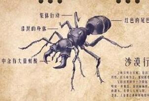 鬼吹灯之精绝古城剧情解密 沙漠行军蚁到底是什么？