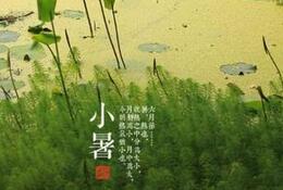 揭秘二十四节气之一的“小暑”是怎么来的