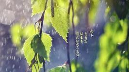二十四节气中的雨水为何被称&ldquo;春雨贵如油&rdquo;