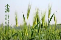 二十四节气中小满这个节气要养生吃什么？