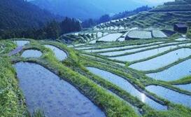 中国俗语&ldquo;一亩三分地&rdquo;的说法是怎么来的?