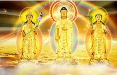 佛教用语中的六根清净具体是哪六根清净？