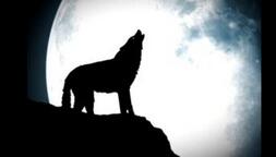 古代神话故事之天狗蚀月的故事具体是怎样的