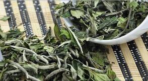 揭秘茶中珍品中国白茶起源自于什么时候