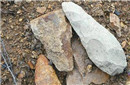肯尼亚出土人类最古老石器 距今330万年