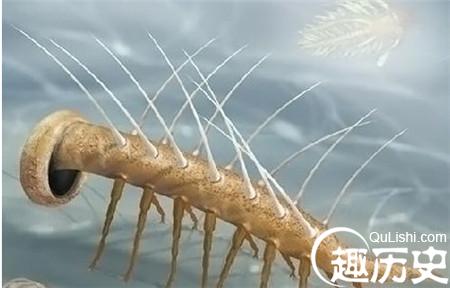 QQ截图20170224133431_副本.jpg