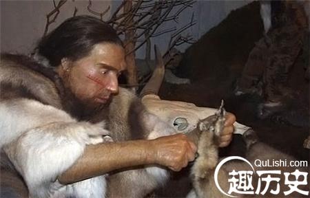 QQ截图20170226111420_副本.jpg