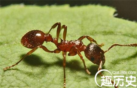 3_副本1.jpg