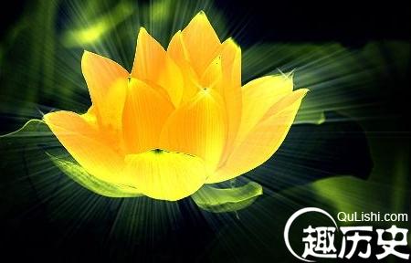 佛教六瓣莲花图片