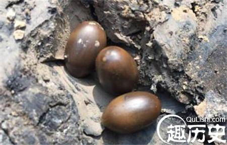 u=736114597,1698658180&fm=23&gp=0_副本.jpg