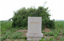 陕西现另一座“隋炀帝陵”专家：或为衣冠冢