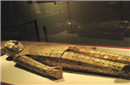 考古发现2000年汉代古墓 曾经挖出金缕玉衣