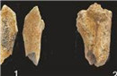 10万年前古人骨上有噬痕 不排除被人食用