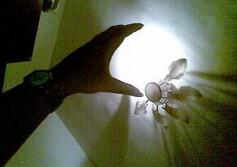 光也能被抓住吗?科学家用箱子困住了光