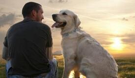 人类和狗在社交方面的基因是一样的吗?