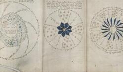 关于伏尼契手稿The Voynich ma难以破解的谜团