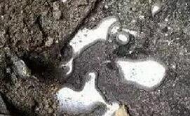 考古发现！秦始皇陵竟有双生子？