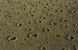 揭秘非洲沙漠上的精灵怪圈究竟是什么东西？