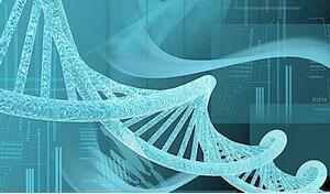 我们的遗传基因来于一个非洲的现代人种群？