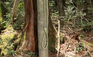 日本可怕的自杀森林究竟有什么神秘力量?